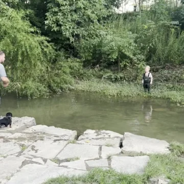 GV
