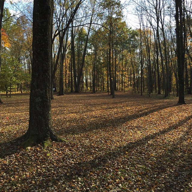 Falltime