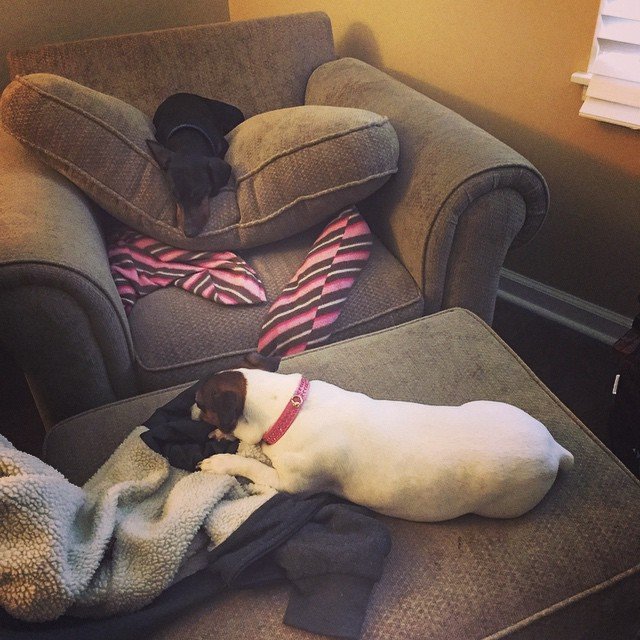 Lazy Sunday