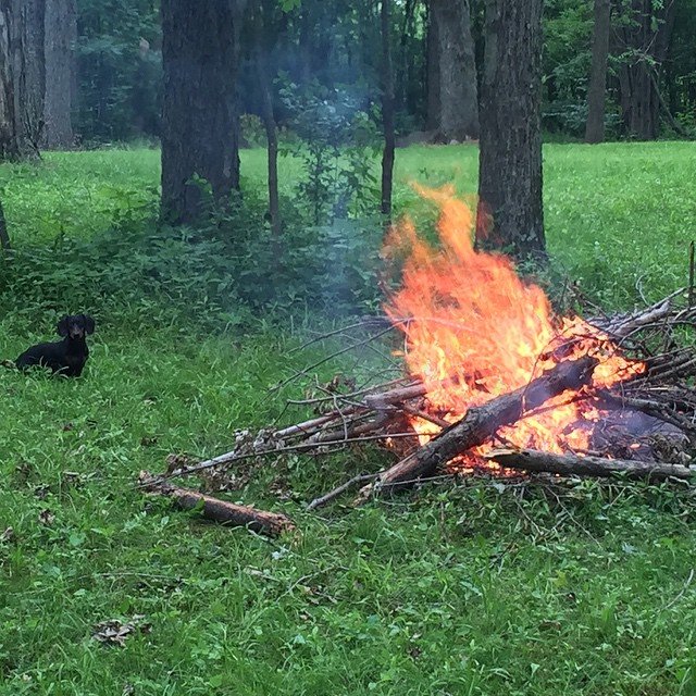Weenie roasting. HAHAHAHAHA