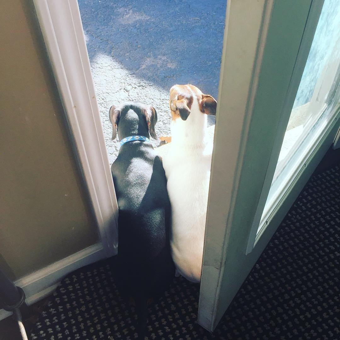 Waiting to go to grammas.