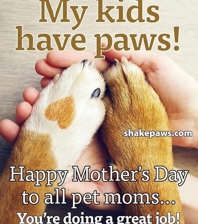 It feels so good to finally be appreciated! . But on a serious note, happy Mother’s Day to all the pet moms out there. Not the moms of human children though because we ALL know that’s a cakewalk.
