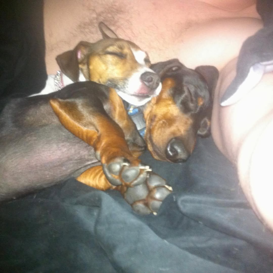 Goodbye, buddy. For 16 years, you have been my sidekick. I’m going to miss you immensely, and all the adventures we traversed together. What the fuck am I going to do with all these ball machines? I love you, until I see you again.