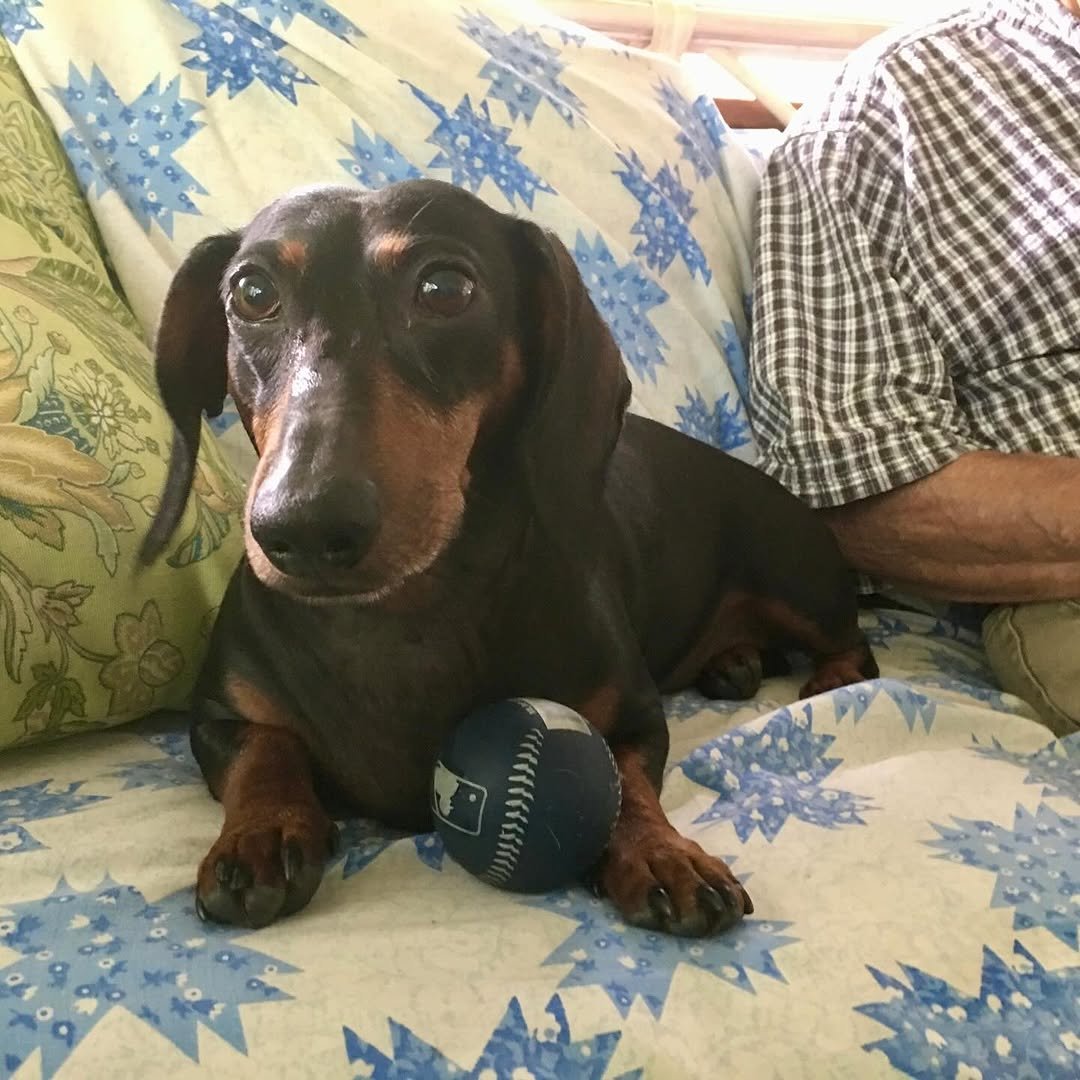 Goodbye, buddy. For 16 years, you have been my sidekick. I’m going to miss you immensely, and all the adventures we traversed together. What the fuck am I going to do with all these ball machines? I love you, until I see you again.