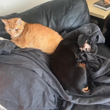 Goodbye, buddy. For 16 years, you have been my sidekick. I’m going to miss yo…