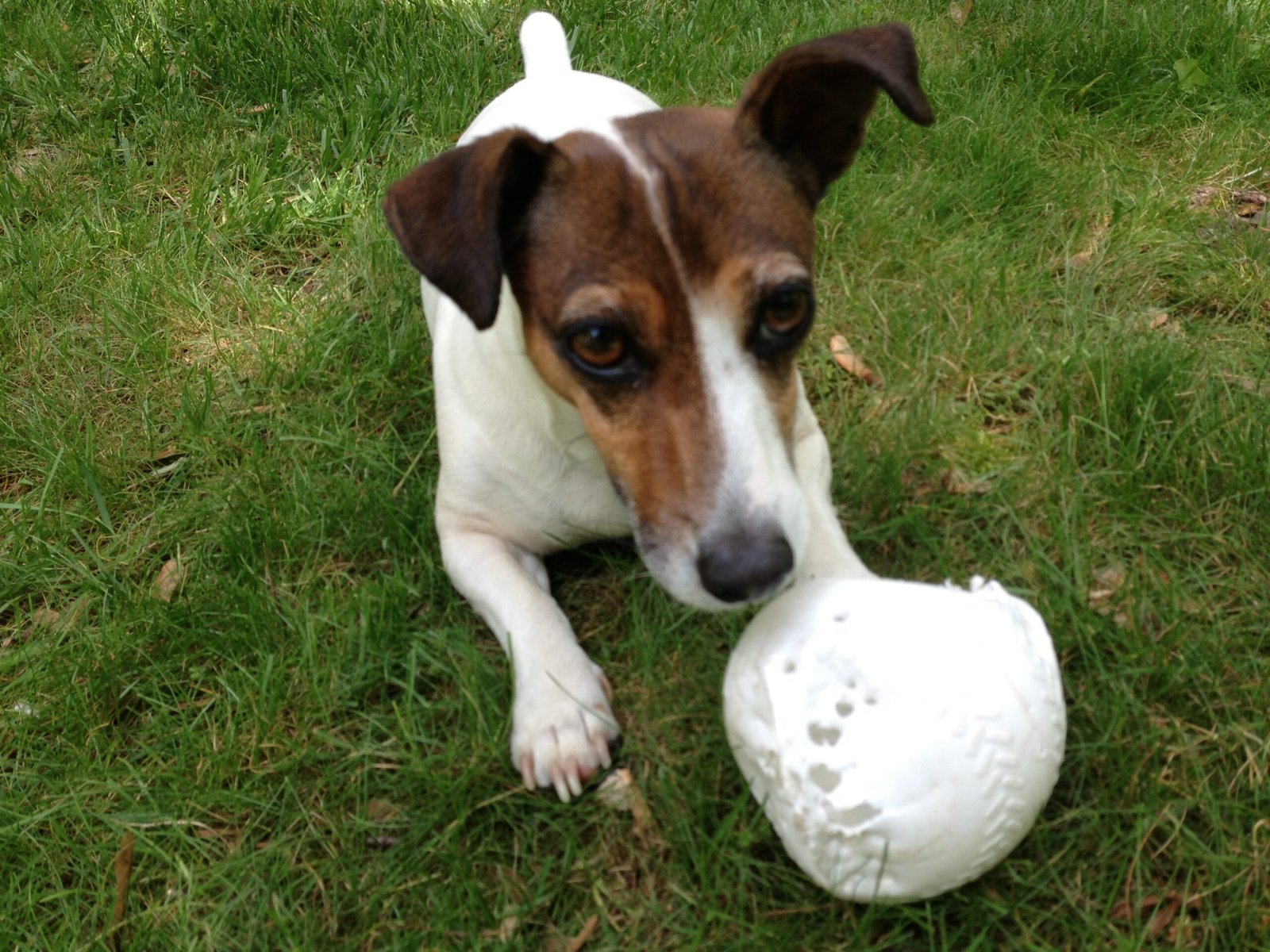 Post Aug 6, 2026